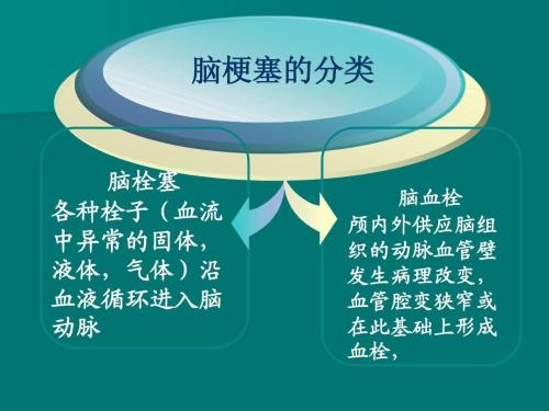 抚顺的秦先生使用文山三七改善脑梗