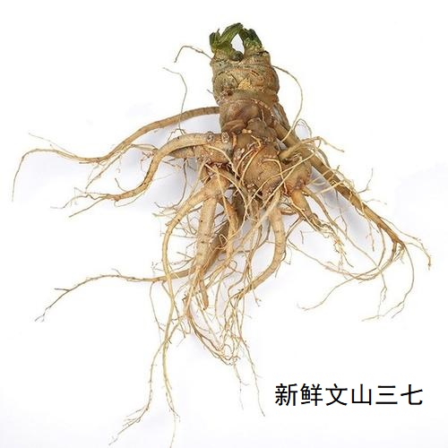 新鲜三七的清洗方法