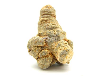 三七粉好不好看打粉的三七