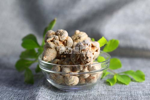 三七很难栽培
