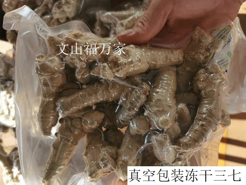 冻干三七