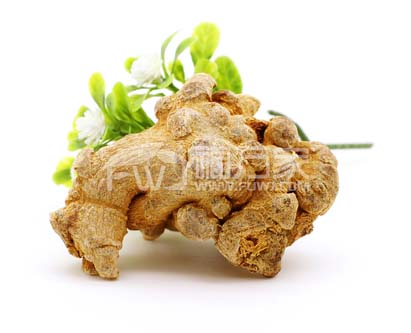 生的三七