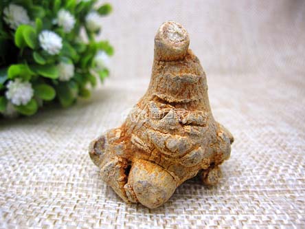 三七送礼选哪种