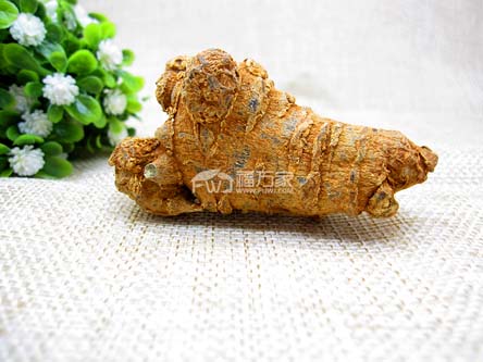 有天然的三七吗