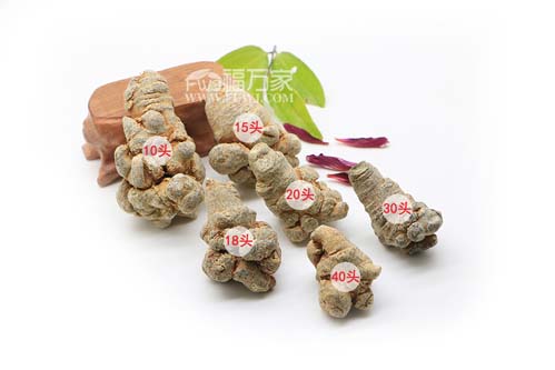 三七区分质量
