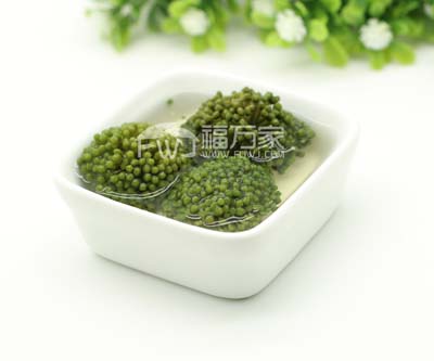 哪家三七花好