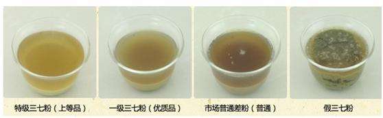 三七粉对比