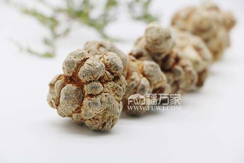 三七难种植